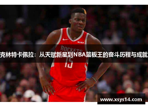 克林特卡佩拉：从天赋新星到NBA篮板王的奋斗历程与成就